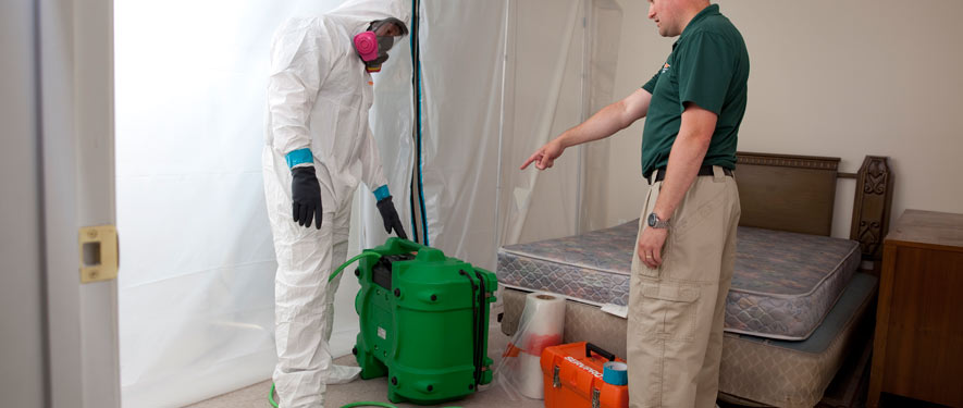 Victorville, CA mold removal process